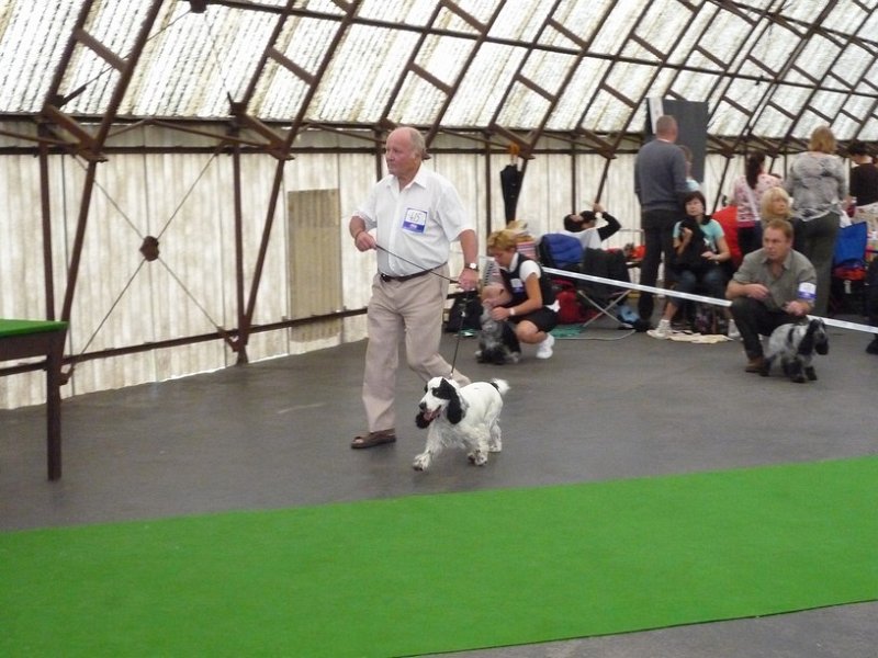 narodka boleslav 029.jpg